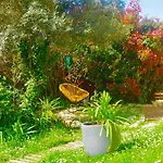 Les Cailloux Dorés 4* Massillargues-Attuech